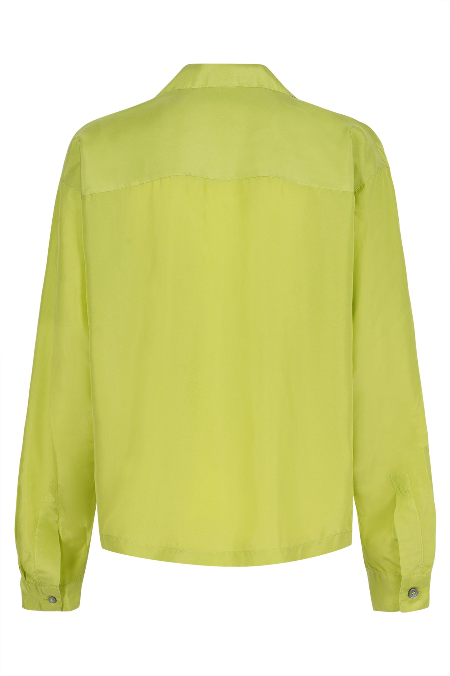 Shirt 13193 New Cedar